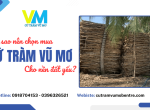 Tại sao nên chọn mua cừ tràm Vũ Mơ tại vựa Bến Tre cho nền đất yếu? 