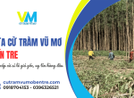 Vựa cừ tràm Vũ Mơ Bến Tre: Địa chỉ cung cấp cừ sỉ lẻ giá gốc, uy tín hàng đầu 