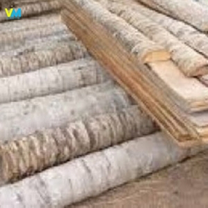 CỪ DỪA 1