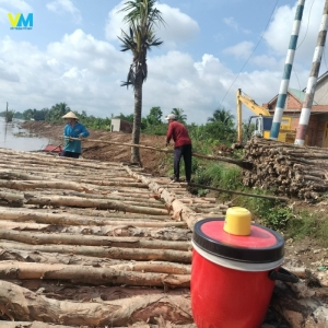 CUNG CẤP CỪ TRÀM LỚN NHỎ CÁC LOẠI