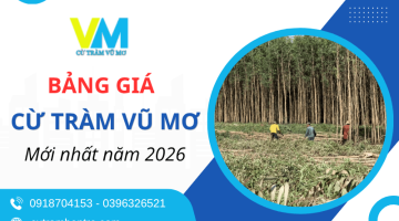 Bảng giá cừ tràm Vũ Mơ mới nhất 2026 - Cam kết cừ tươi, đủ quy cách, giao hàng nhanh