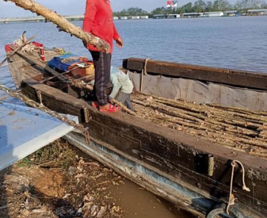 Hãy liên hệ ngay với Vựa Cừ Tràm Vũ Mơ