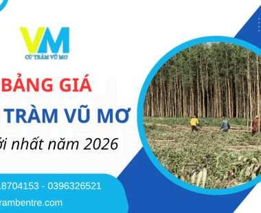 Bảng giá cừ tràm Vũ Mơ mới nhất 2026 - Cam kết cừ tươi, đủ quy cách, giao hàng nhanh
