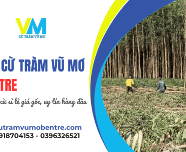 Vựa cừ tràm Vũ Mơ Bến Tre: Địa chỉ cung cấp cừ sỉ lẻ giá gốc, uy tín hàng đầu 
