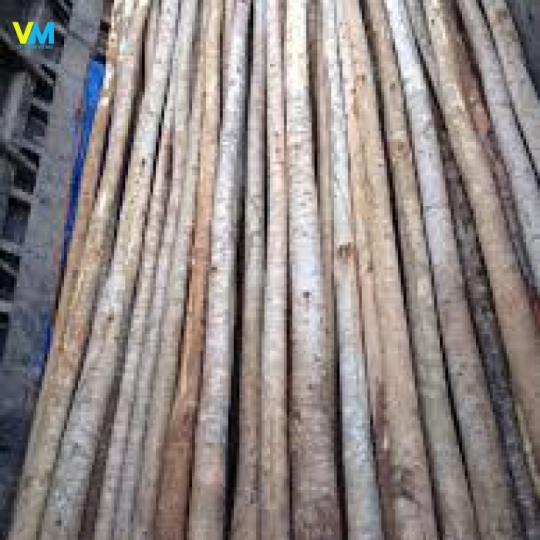 CỪ BẠCH ĐÀN 7